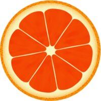 Grapefruit in Dukan's Diet